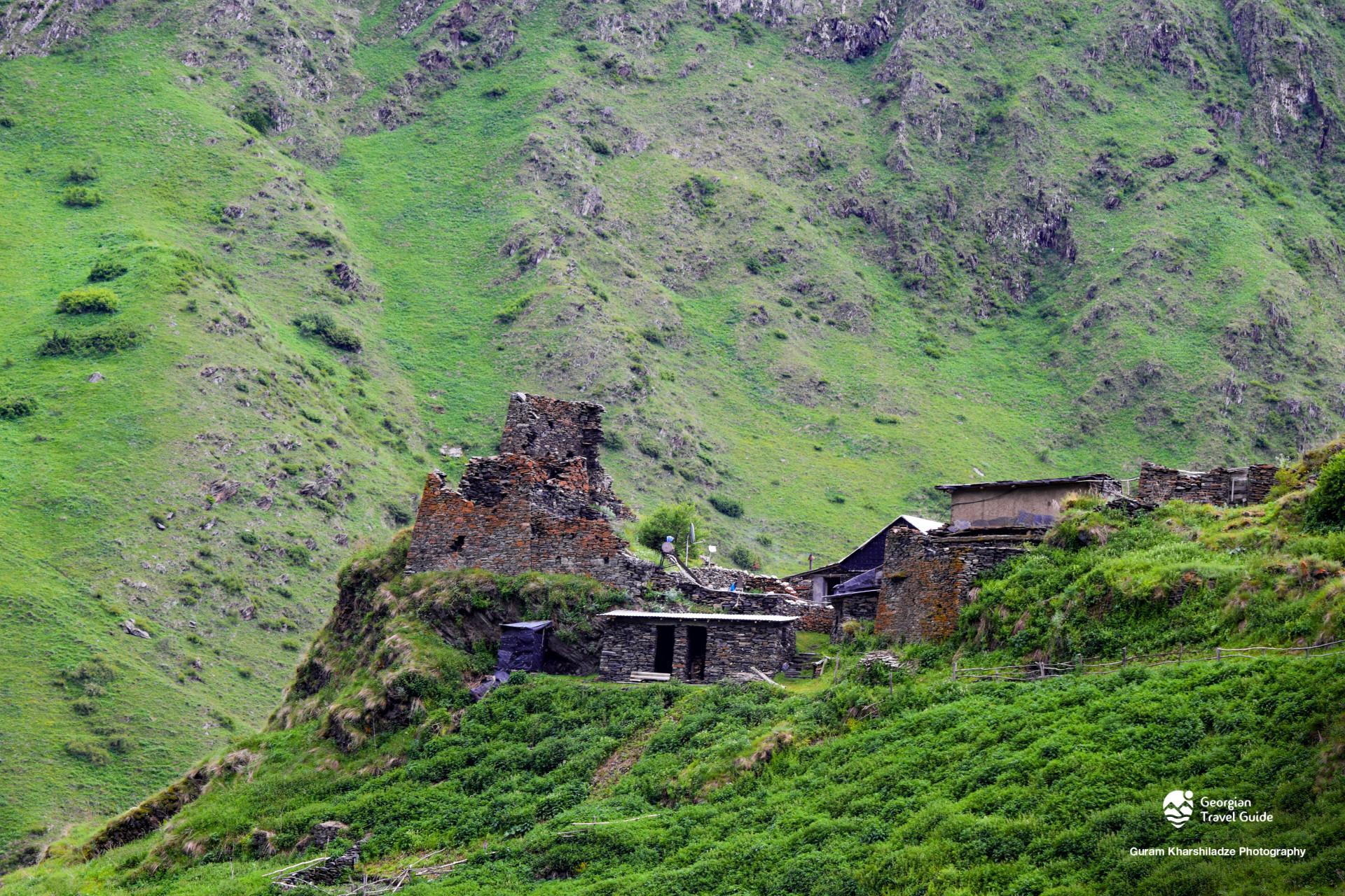 არდოტი