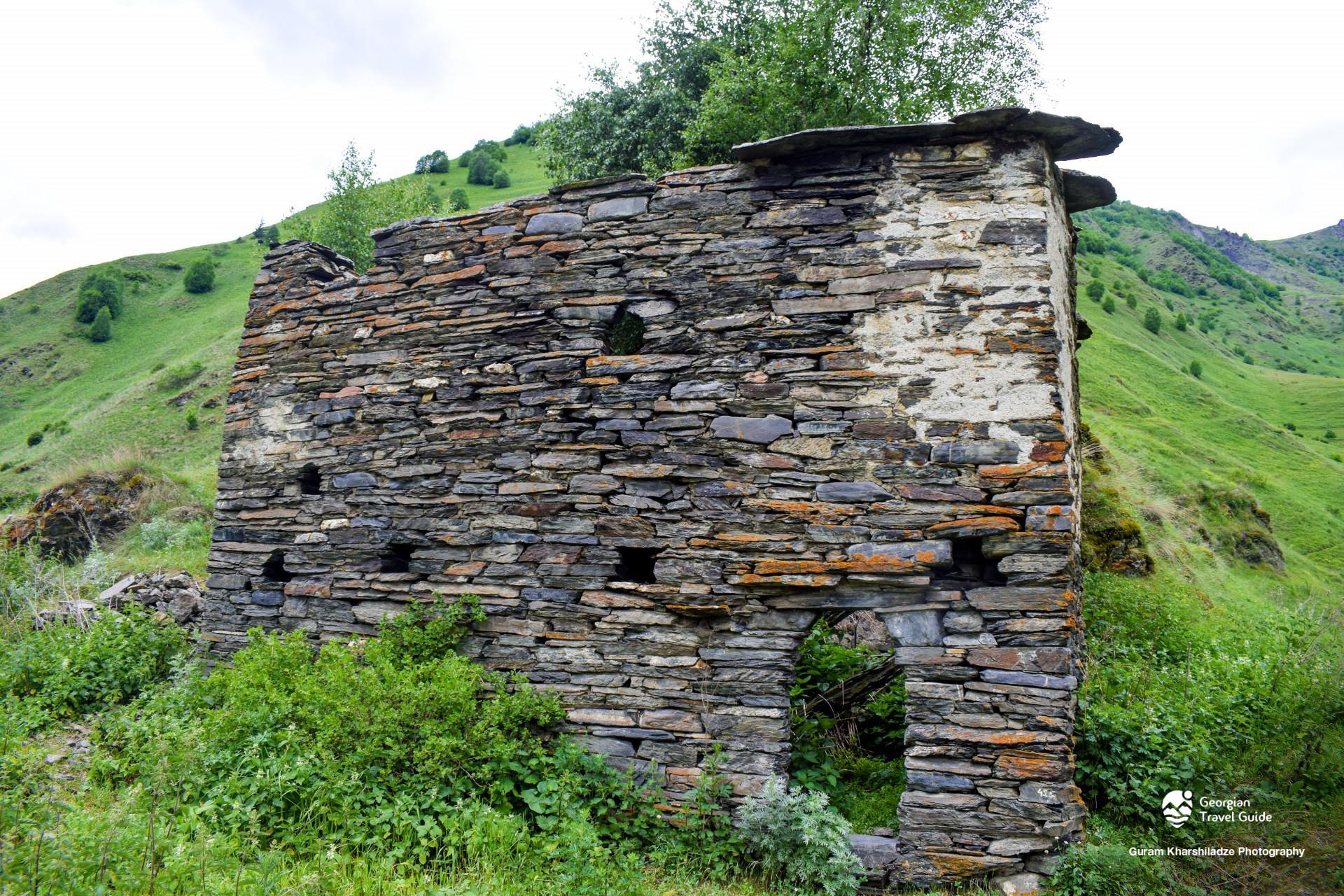 არდოტი