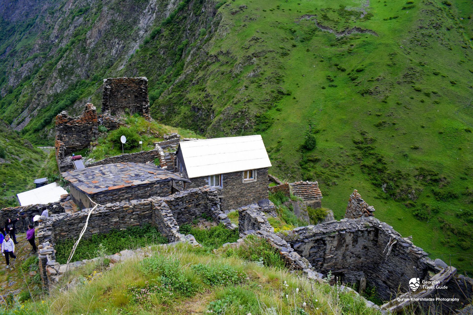 არდოტი