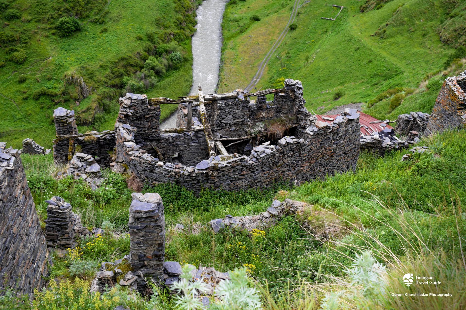 არდოტი