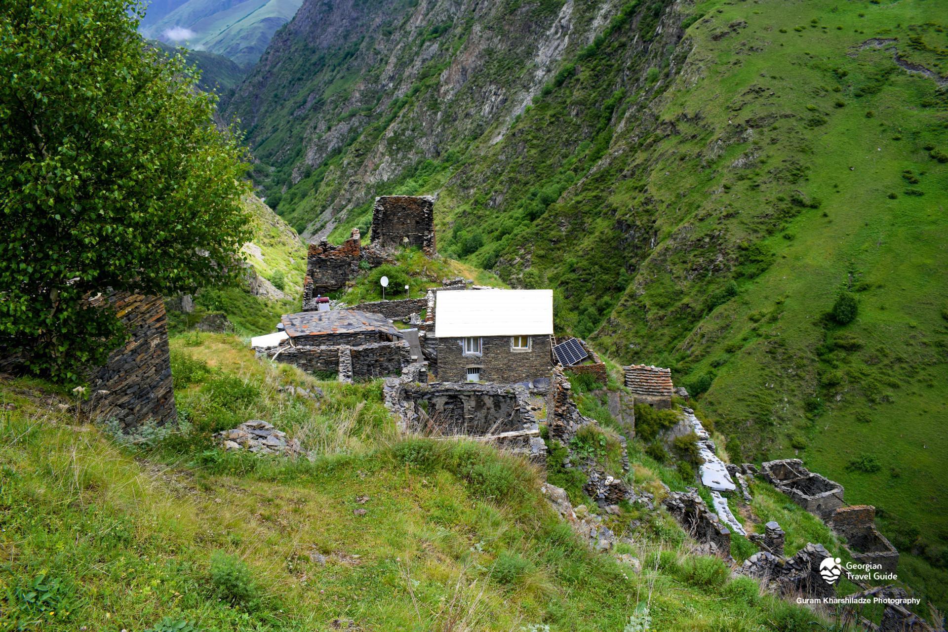 არდოტი
