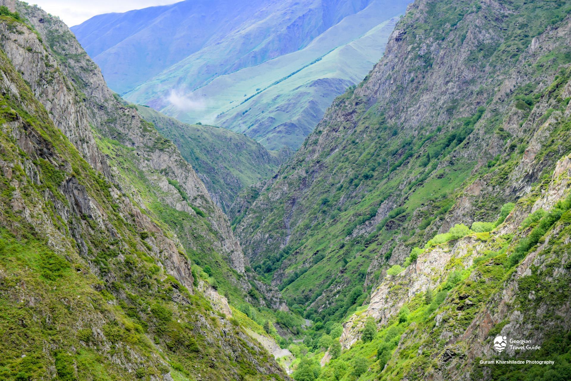 არდოტი
