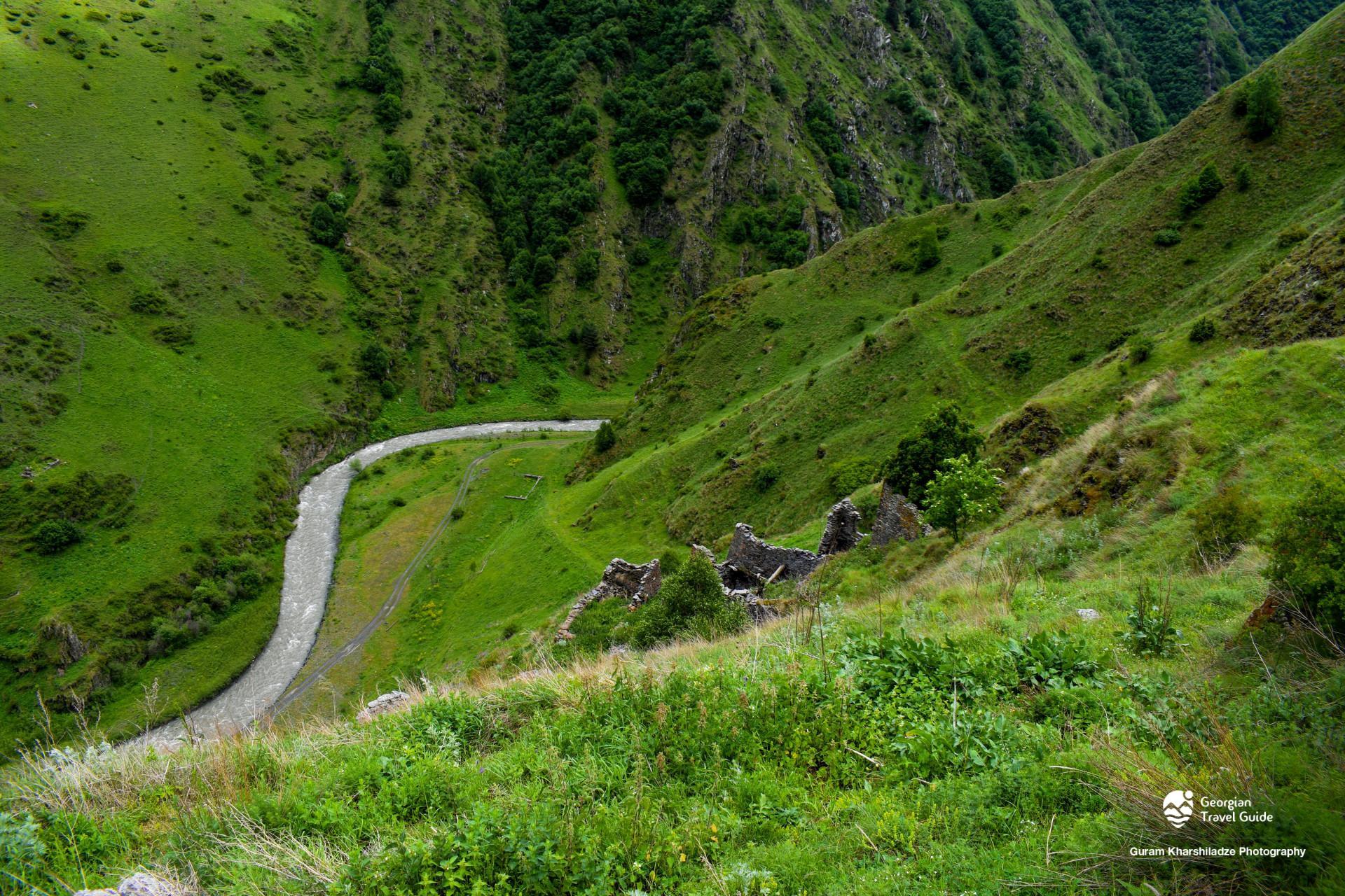 არდოტი