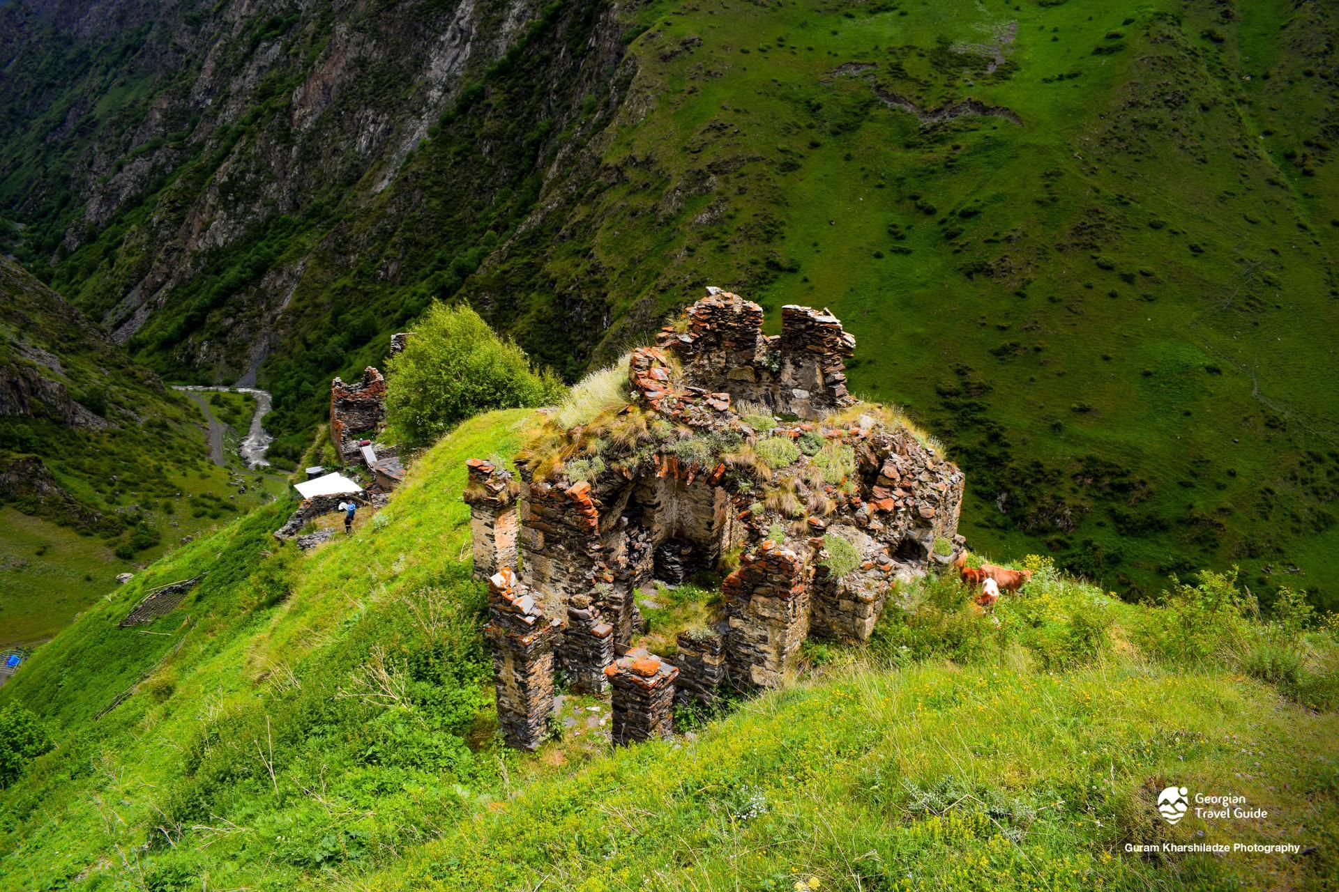 არდოტი
