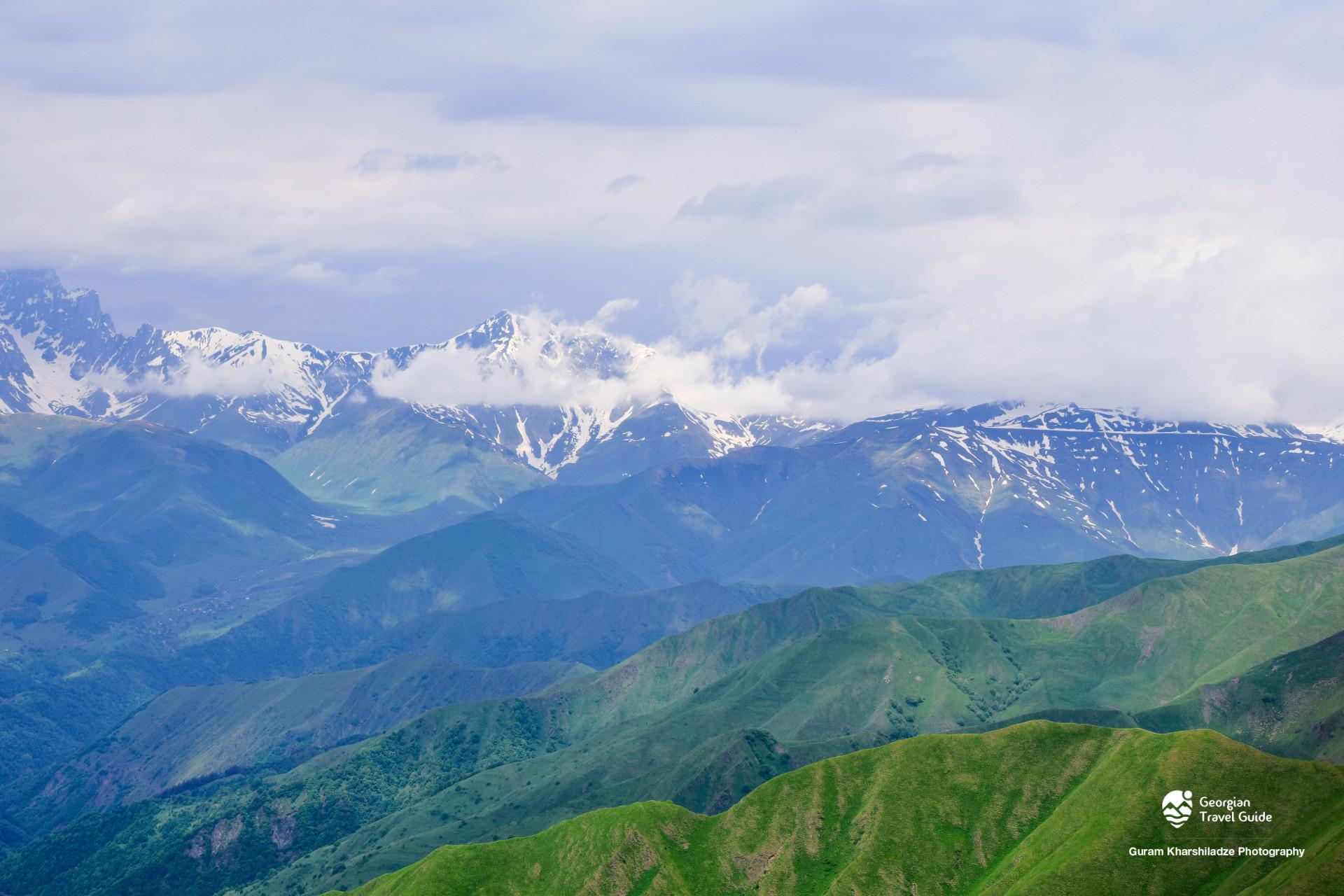 დათვისჯვარი