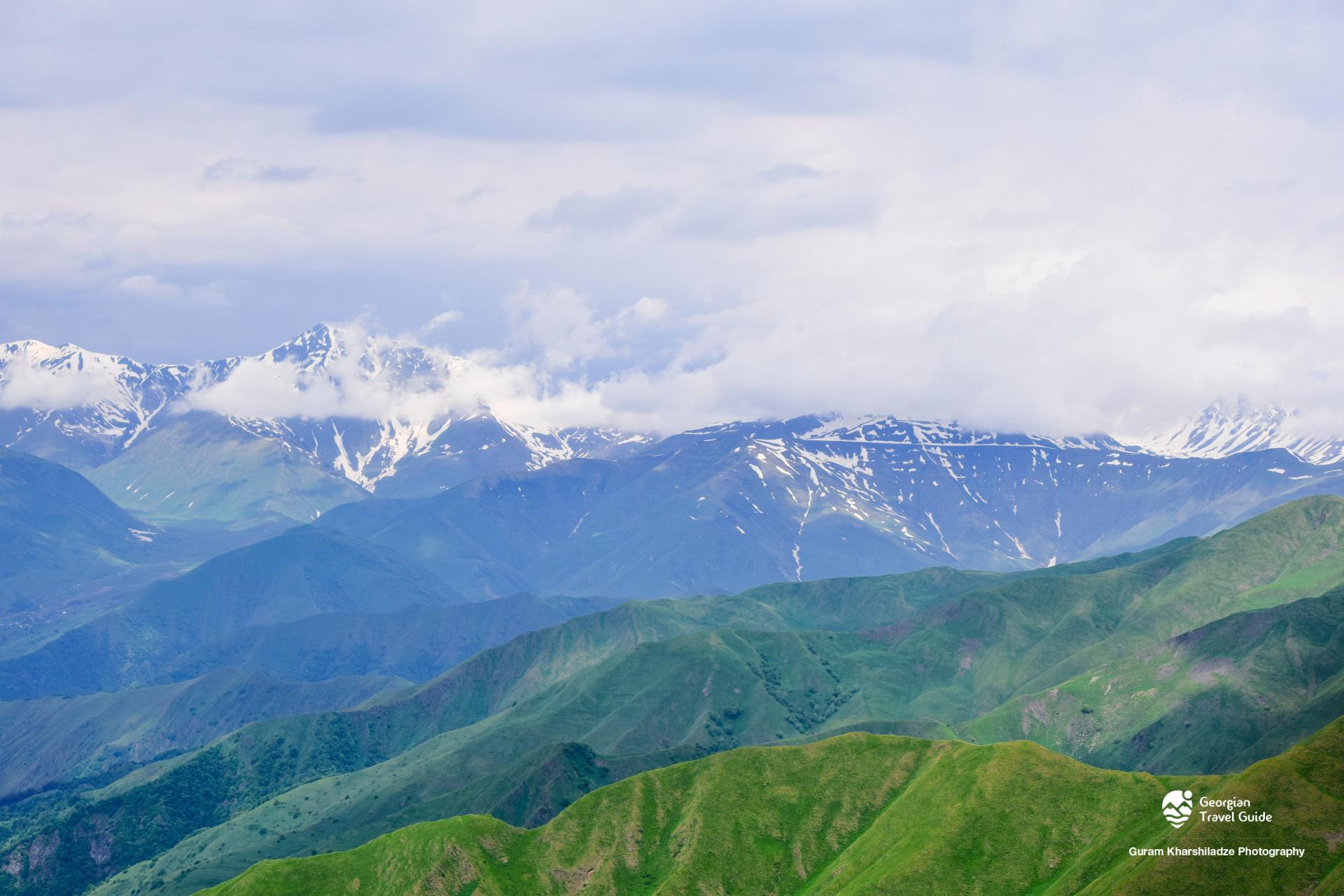 დათვისჯვარი