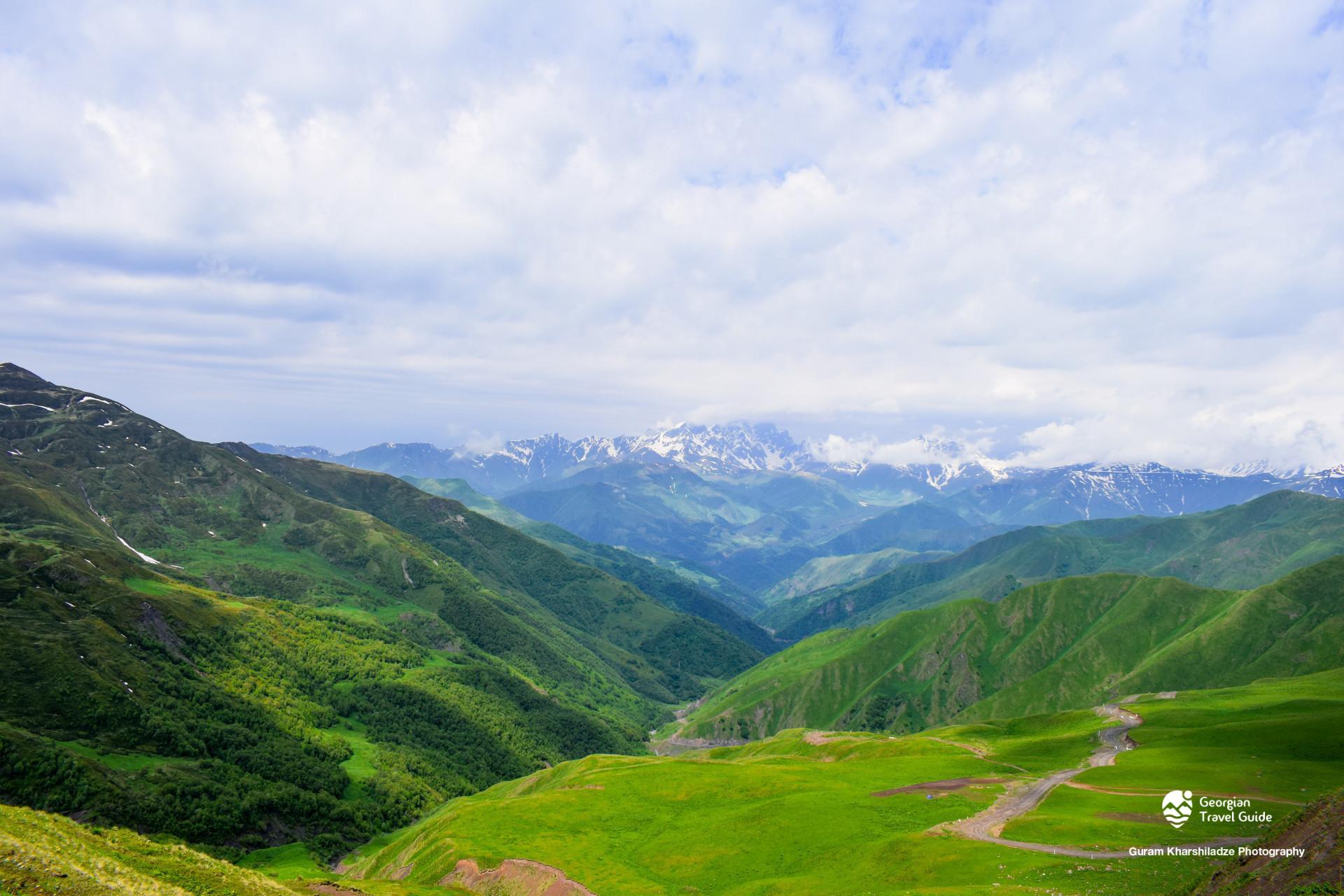 დათვისჯვარი