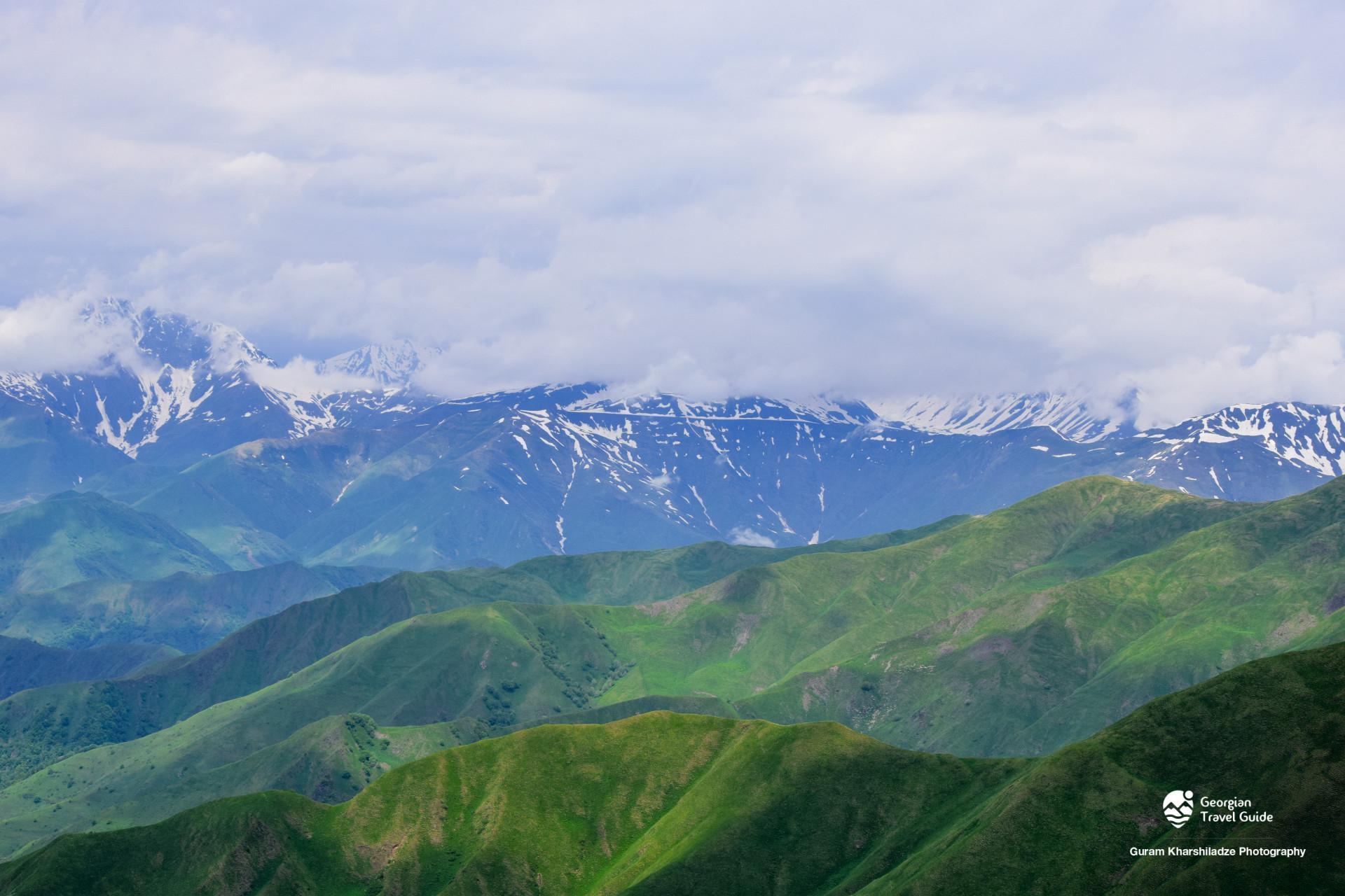 დათვისჯვარი