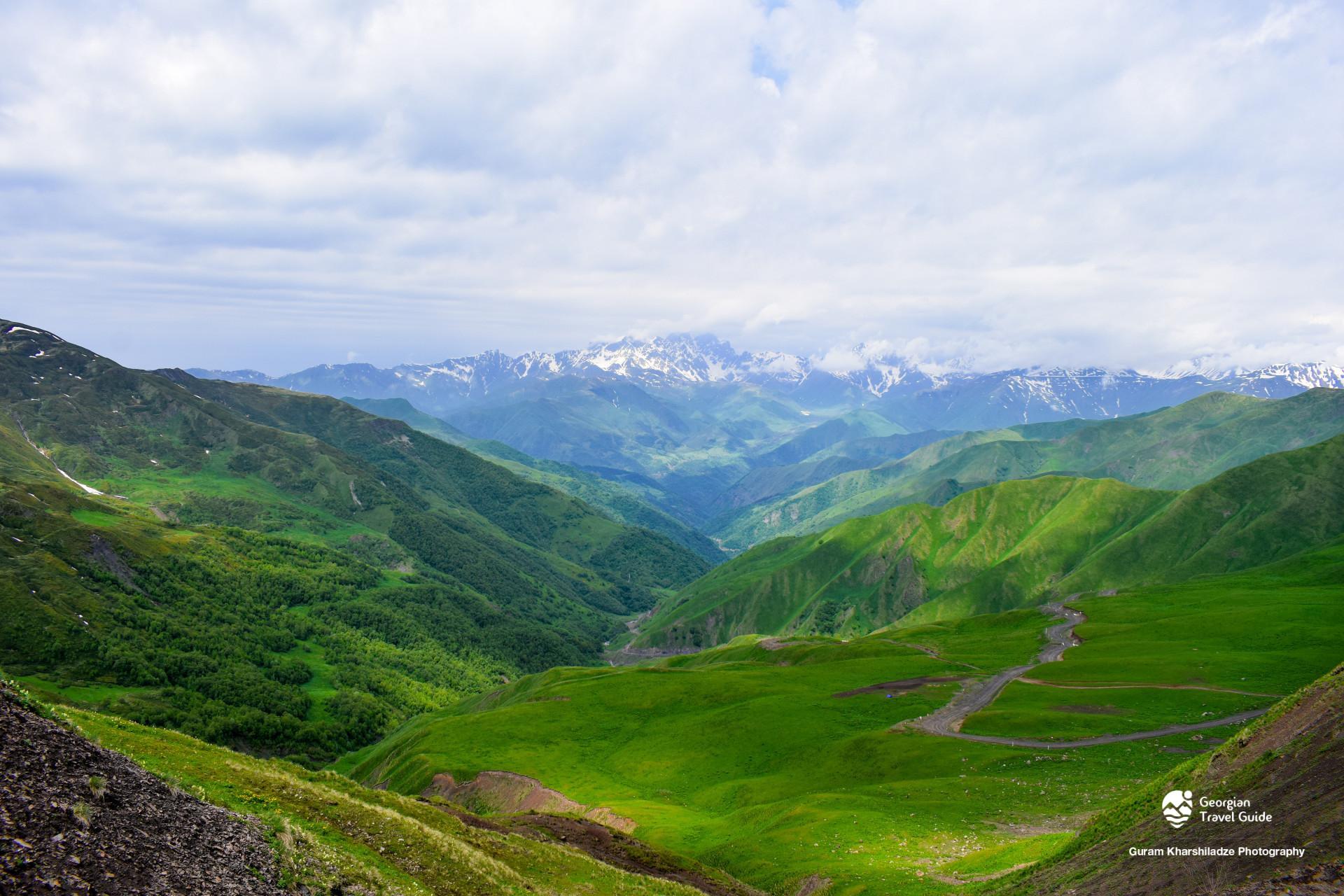 დათვისჯვარი