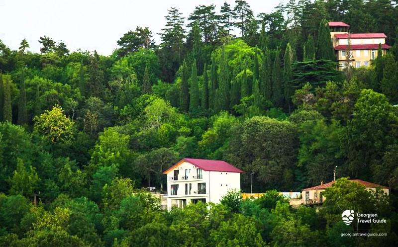 Hotel Villa Royal / სასტუმრო ვილა როიალი
