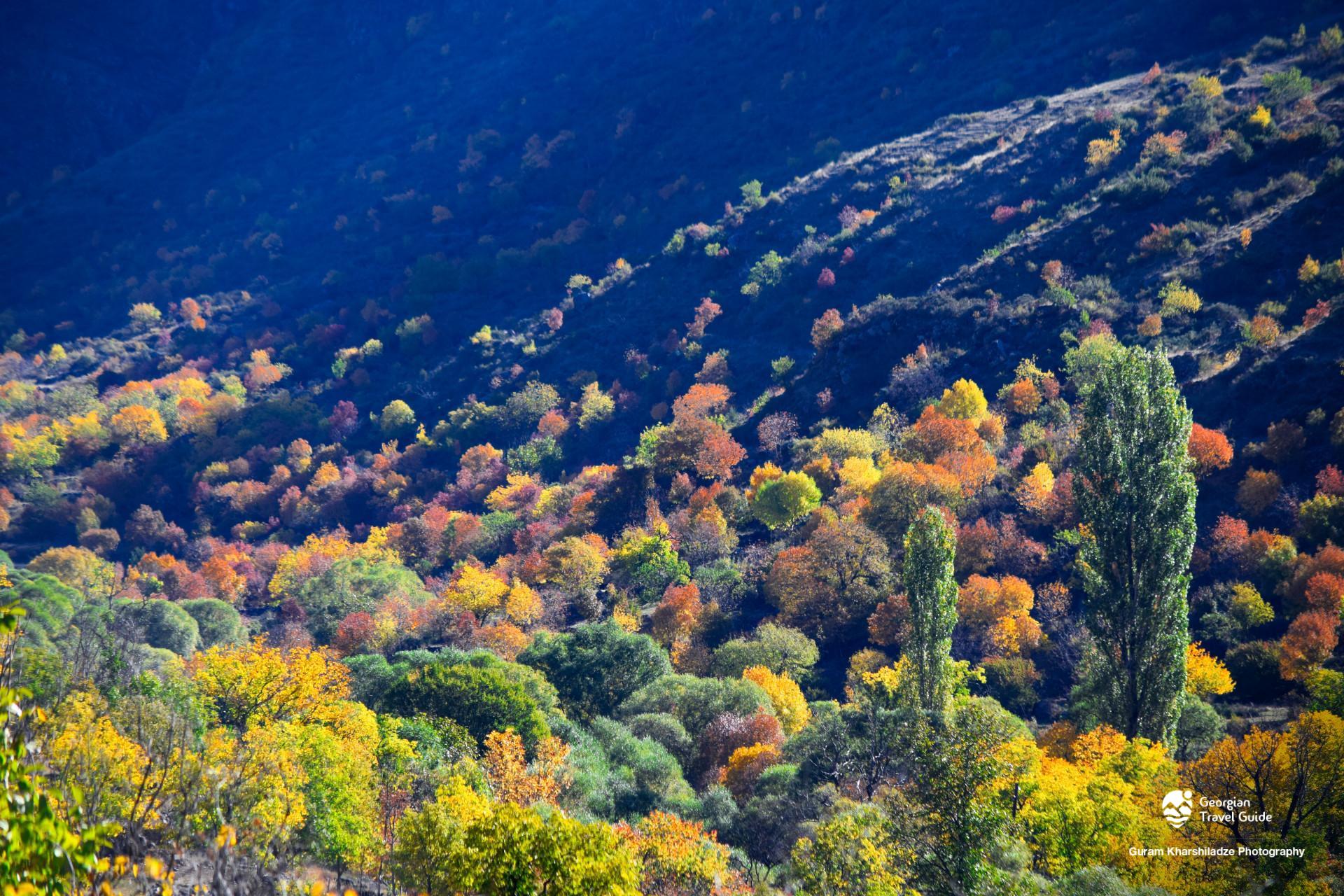 ხერთვისის ციხე