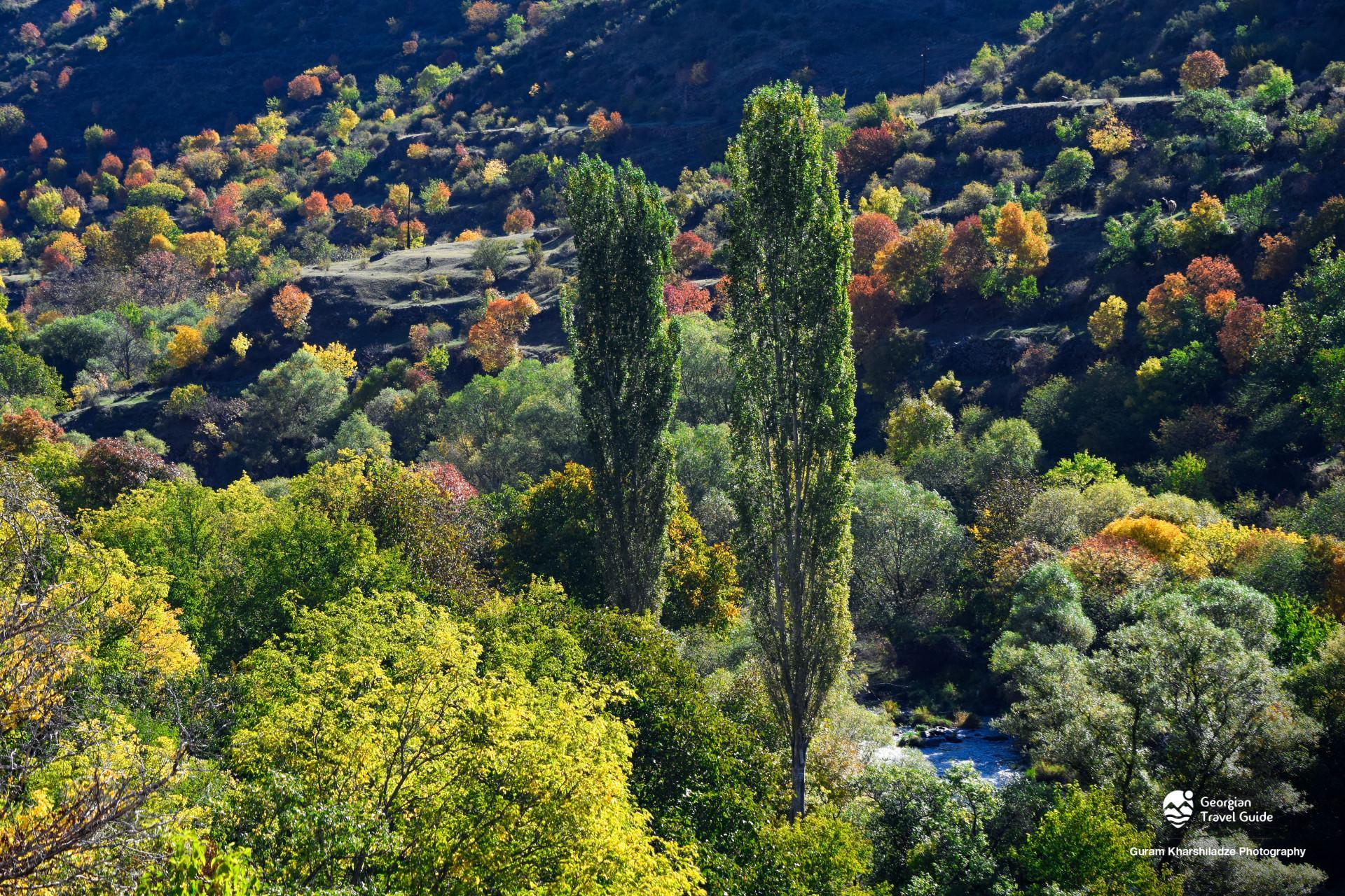 ხერთვისის ციხე