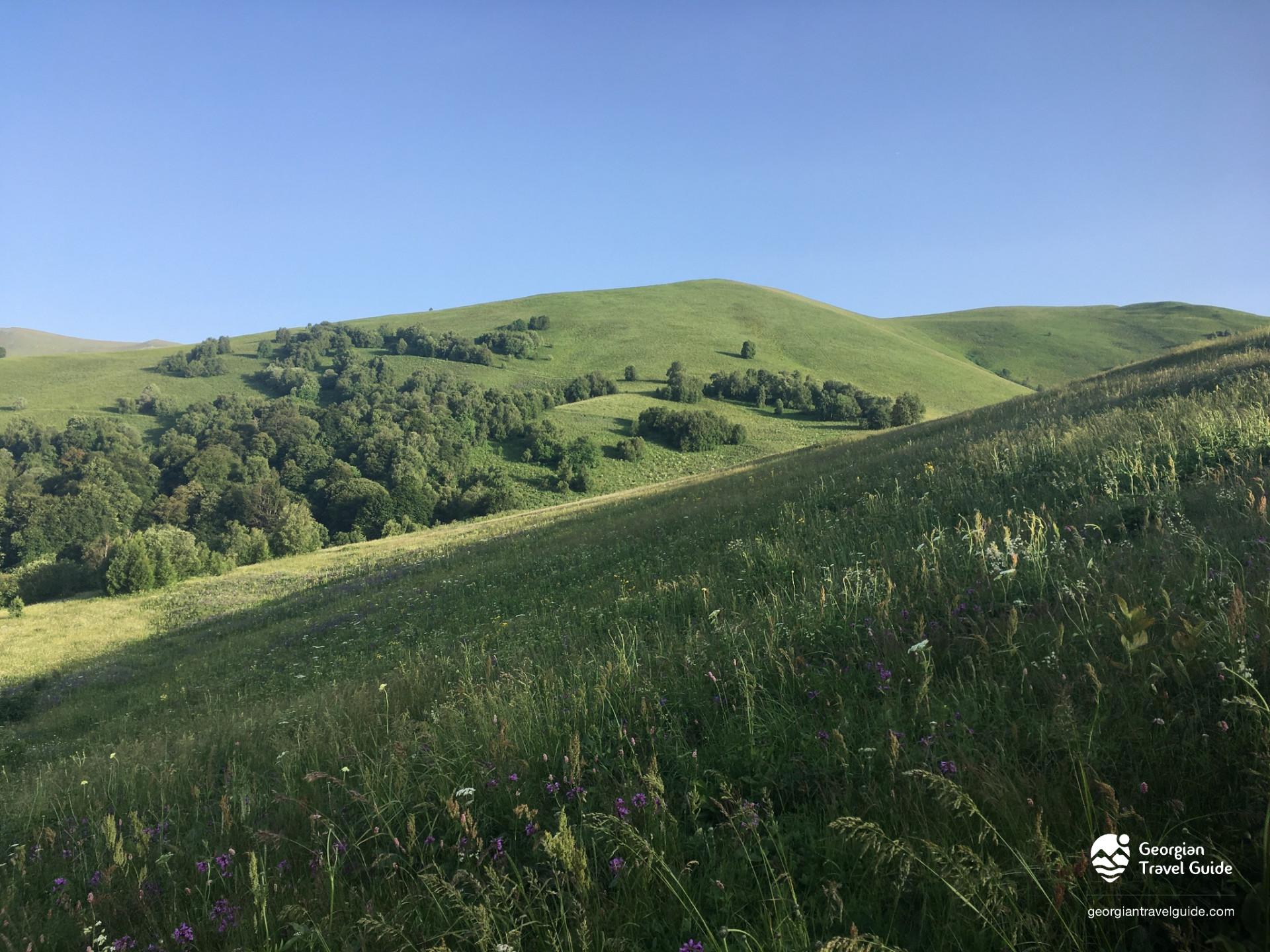 მთის კლუბი | skiclub GE
