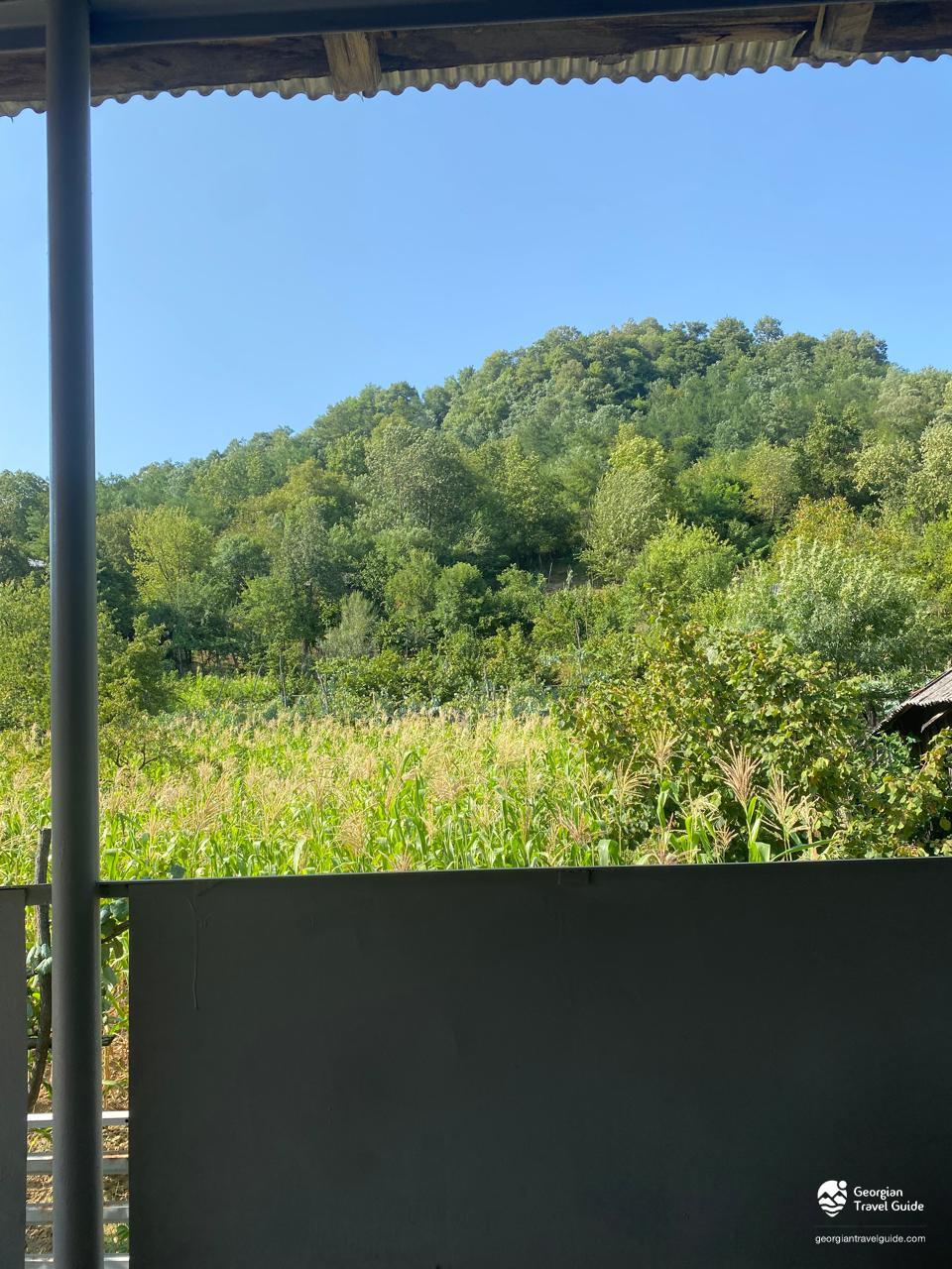 საოჯახო სასტუმრო ჭალისთავი