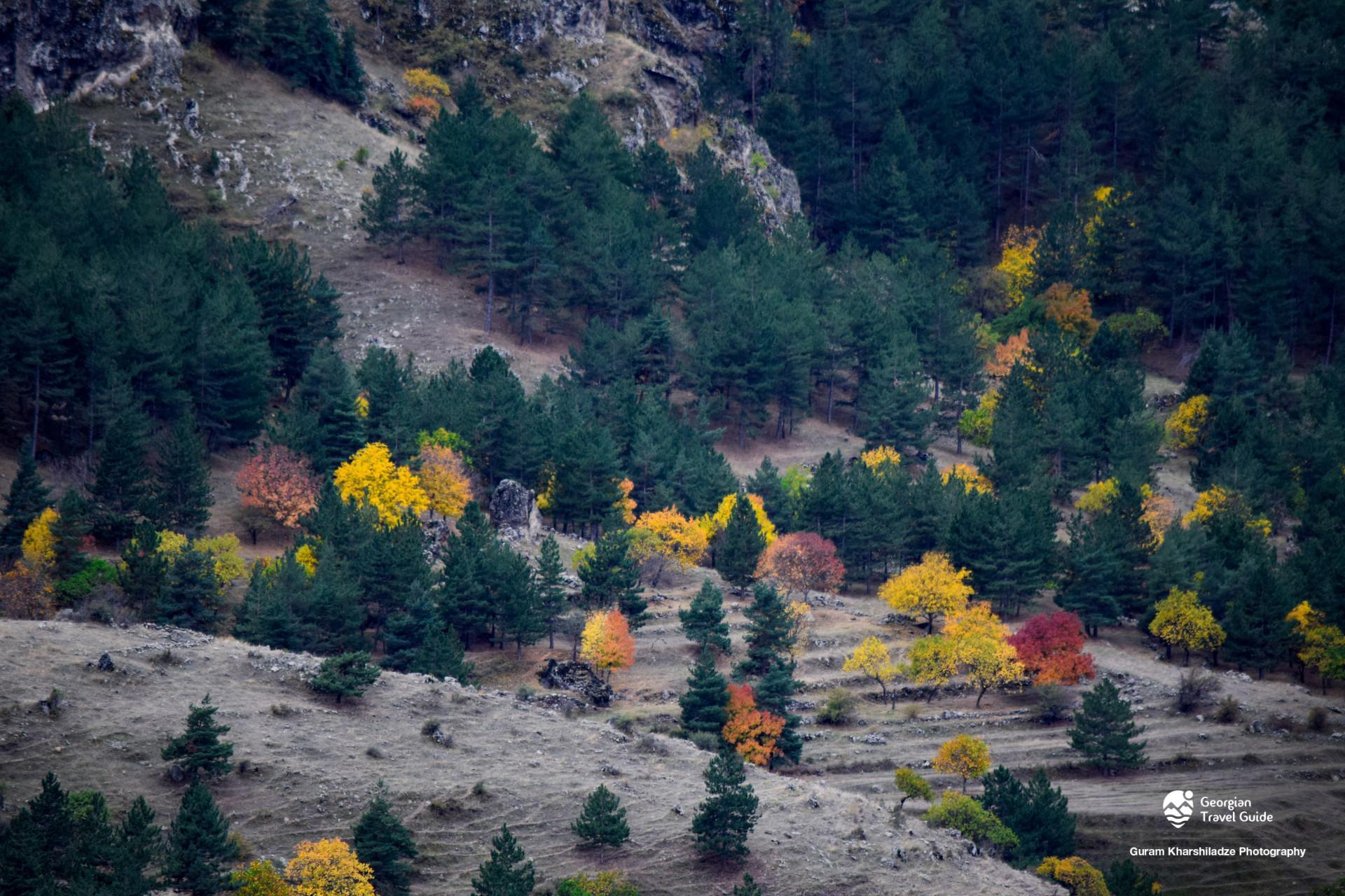 თმოგვის ციხე