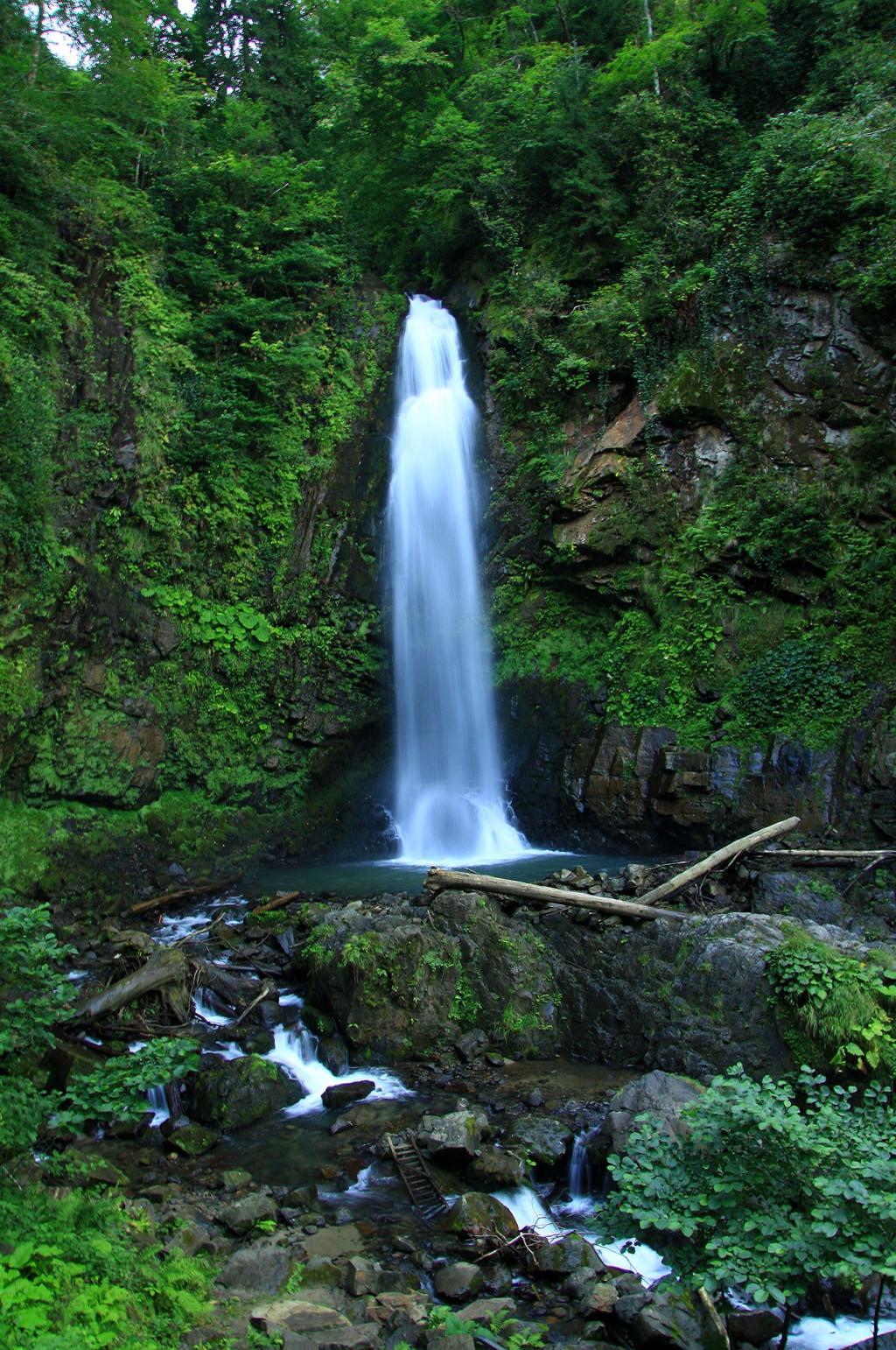 მეძიბნა