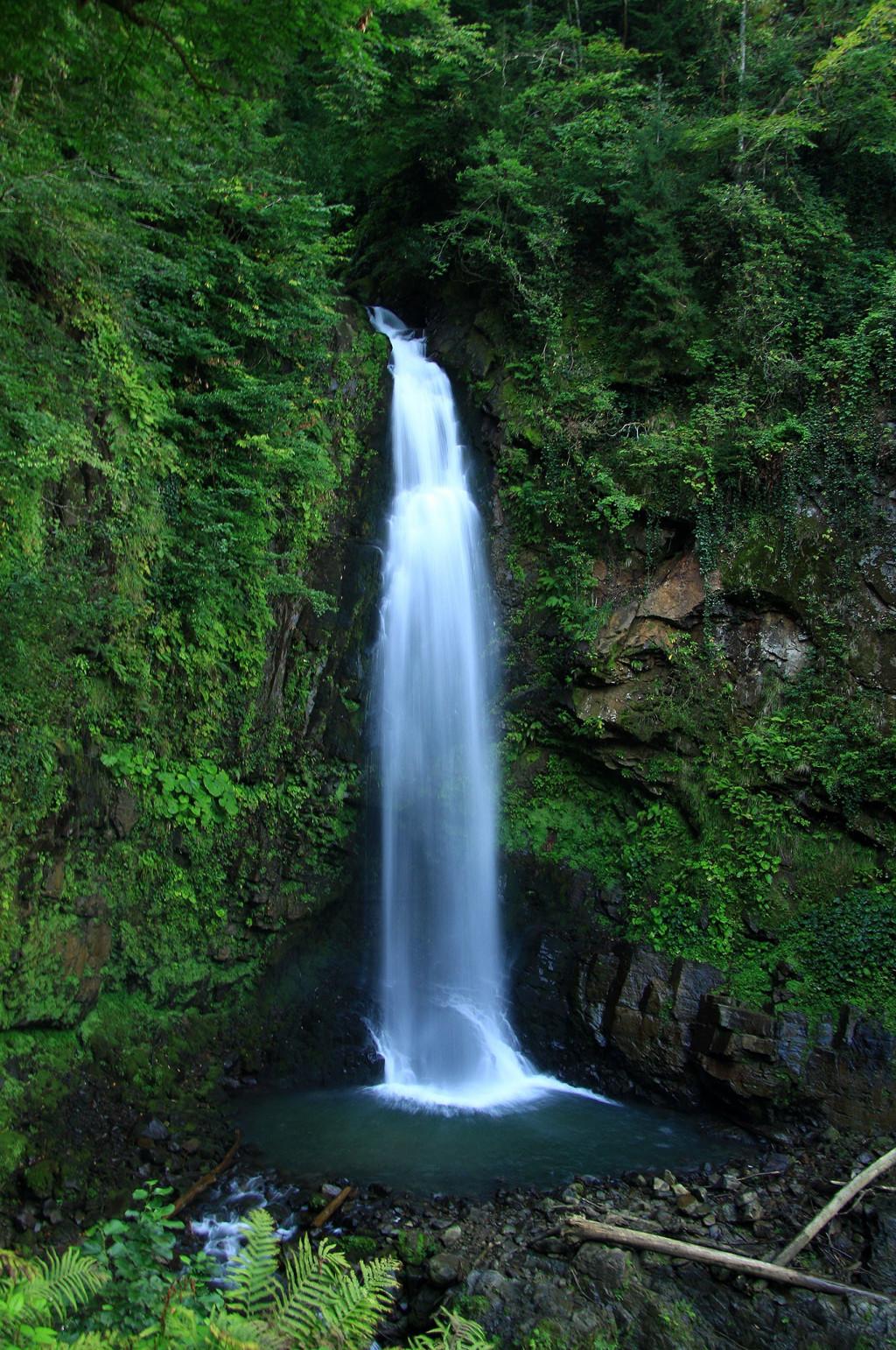 მეძიბნა