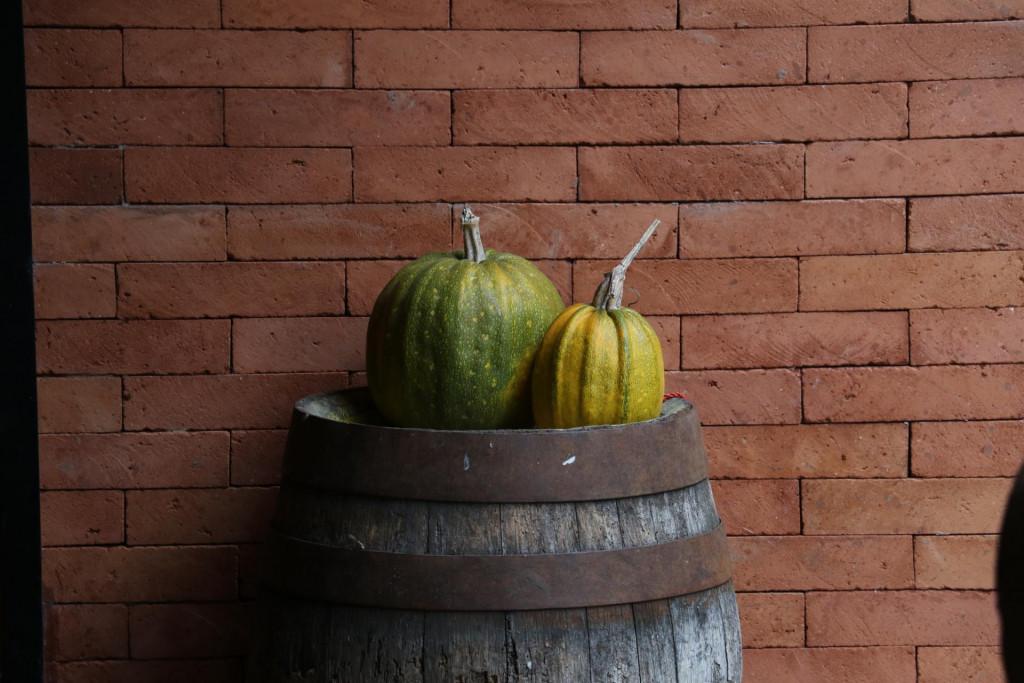 შარაშიძის ღვინის მარანი