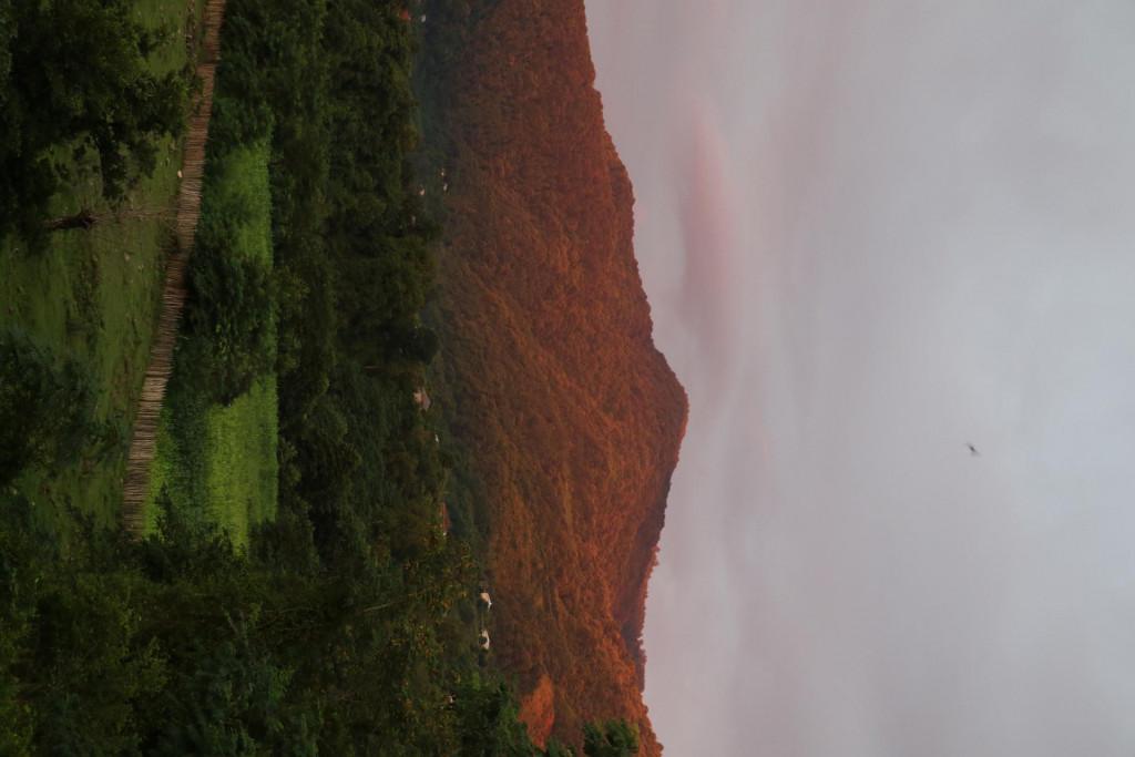 დათოს ღვინო