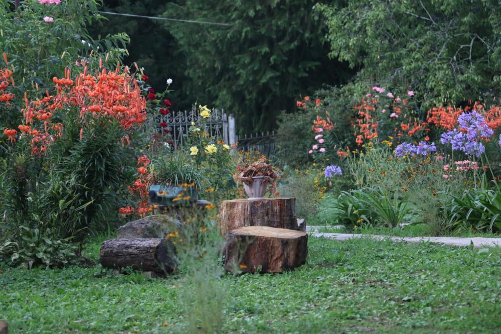 ტაბერნე გურიაში