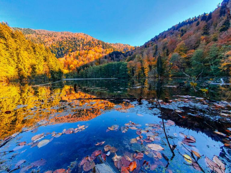 ერთ დღიანი ტური ბატეთის ტბა-ძამას ხეობა