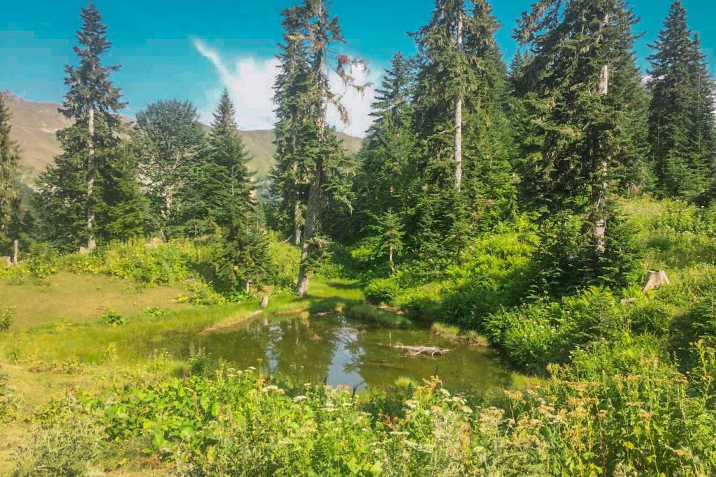 სათოვლიას წყალი, გომისმთა - ბახმარო - satovlias water, Gomismta - Bakhmaro