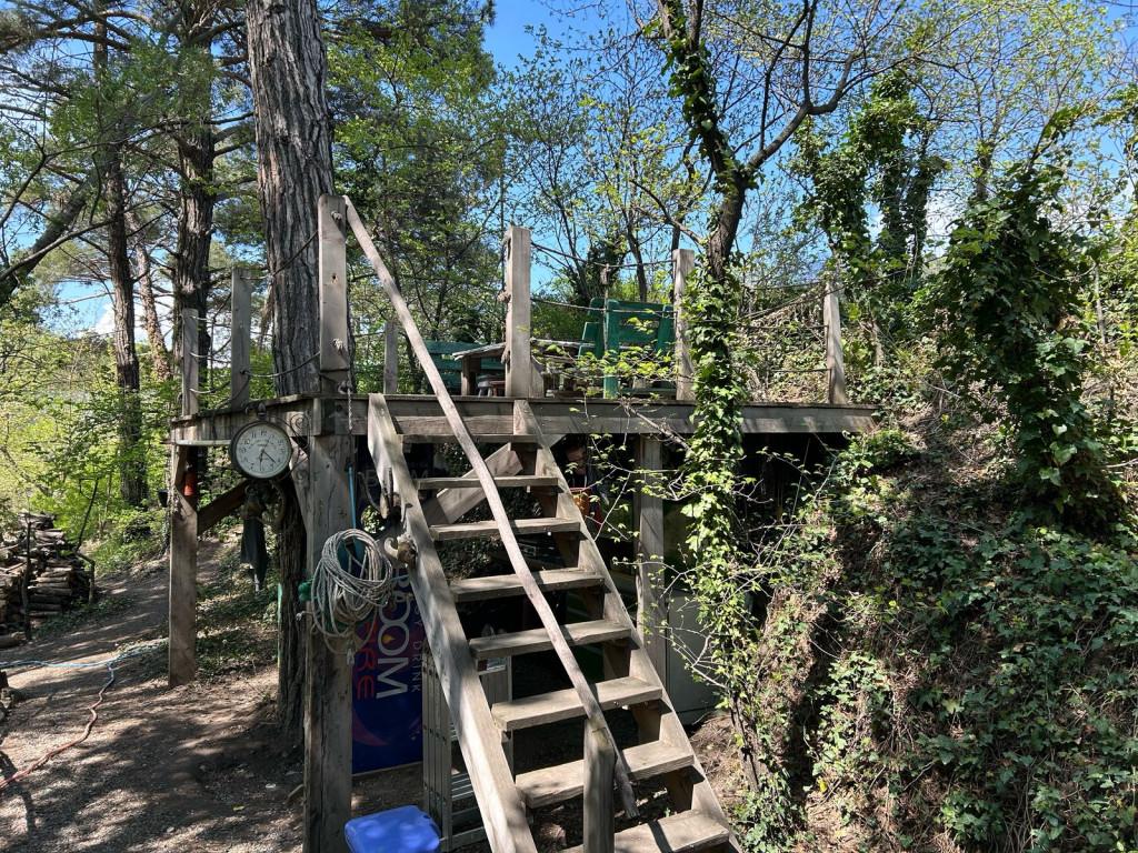 კატერის ტური მდინარეზე მცხეთაში