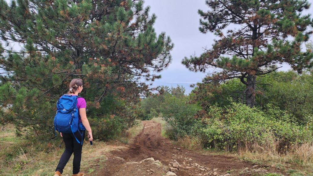 კოჯორი -კუს ტბა