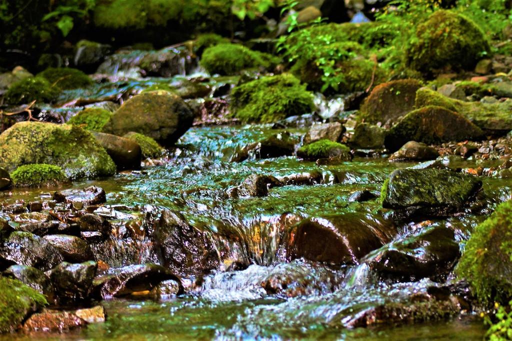 კოდიწყაროს ტბა