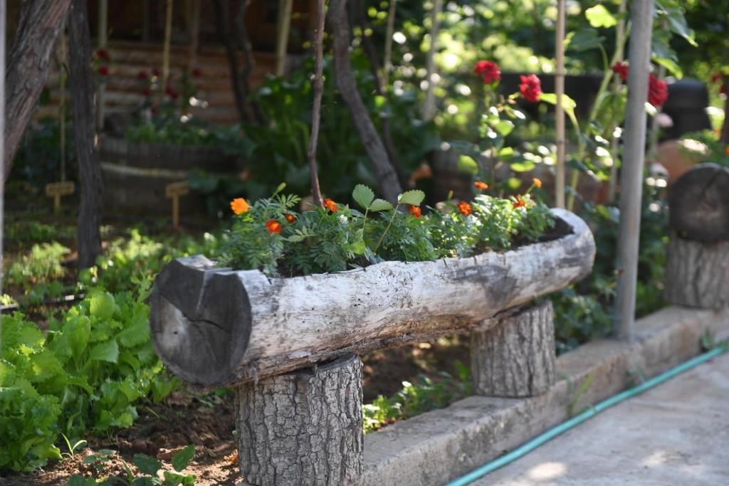 107871865_600464304213199_859675