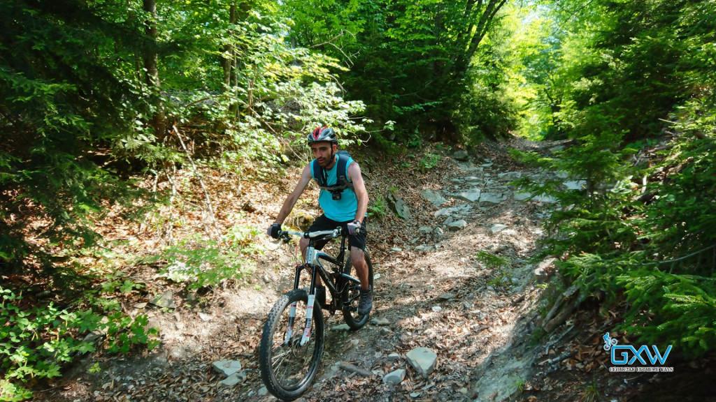 109714735_4193990233975400_40902