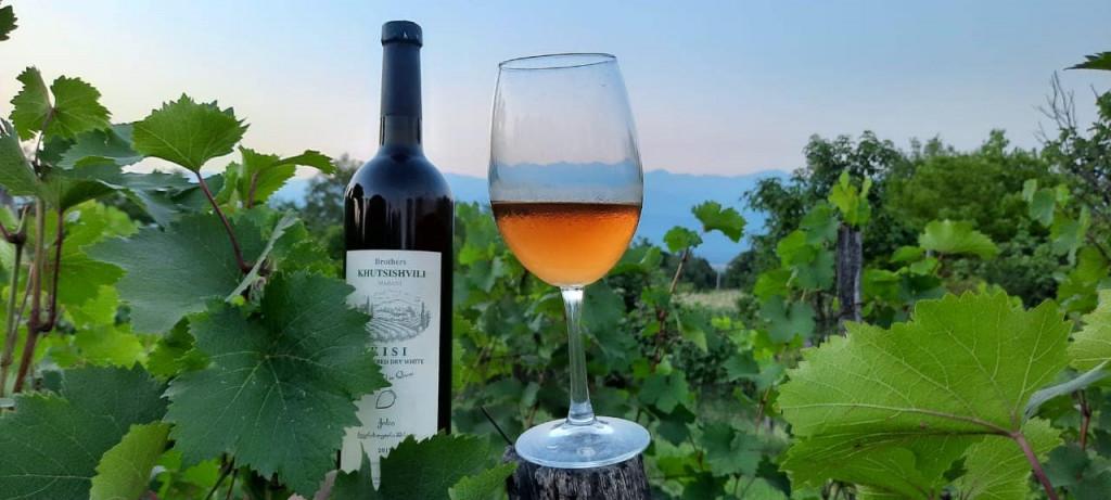 117313029_3338043772943731_54704