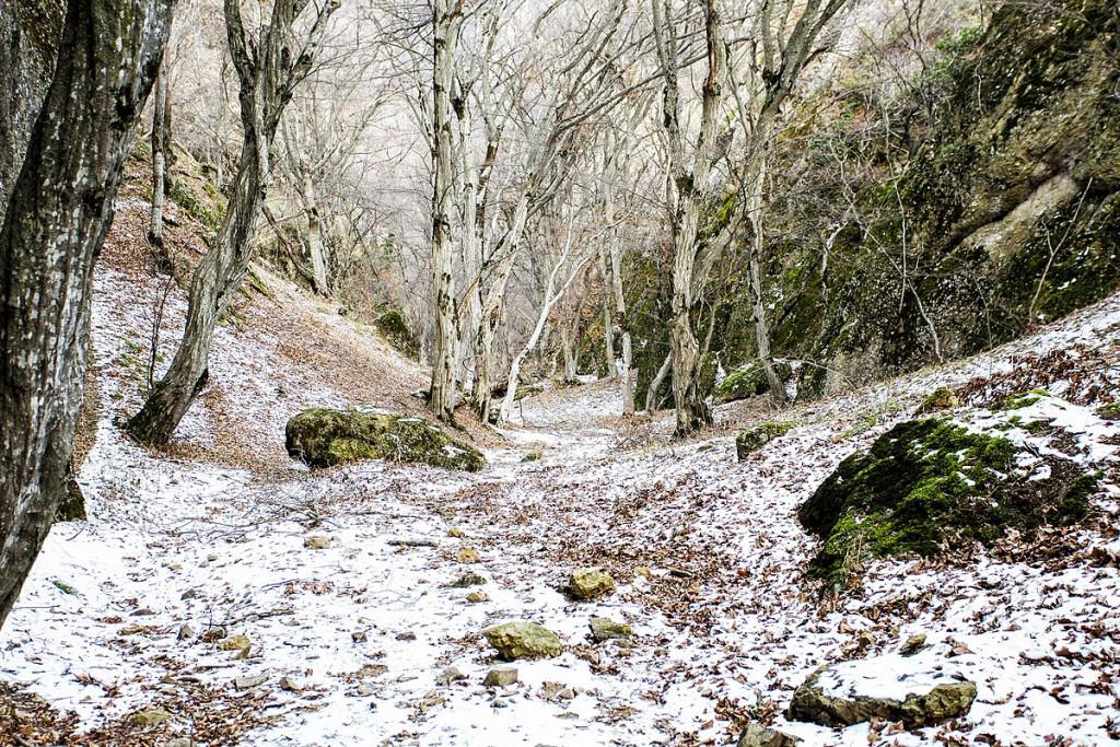 One day Hiking Tour to Birtvisi Canyon