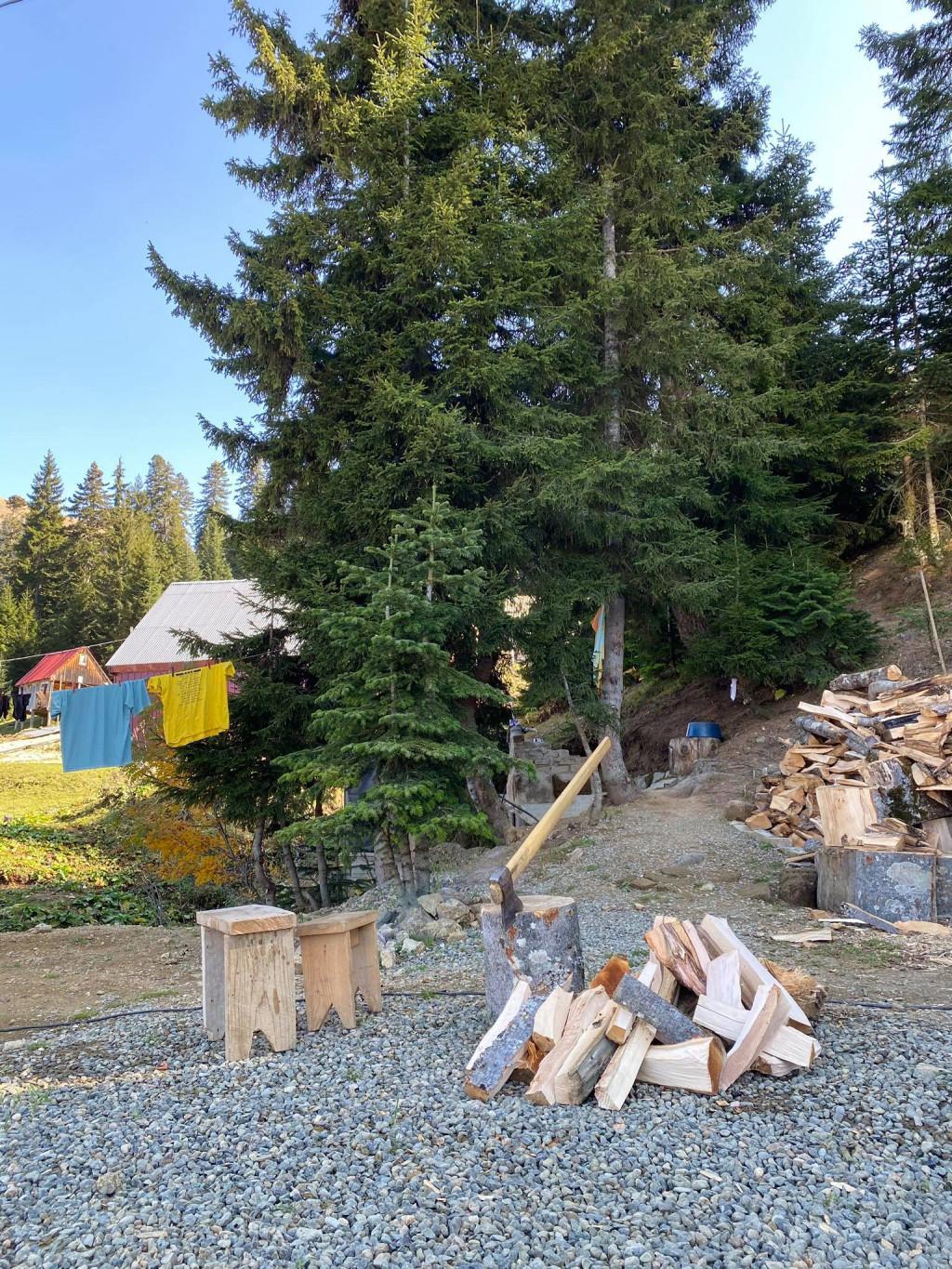 121814772_264918268175483_808780