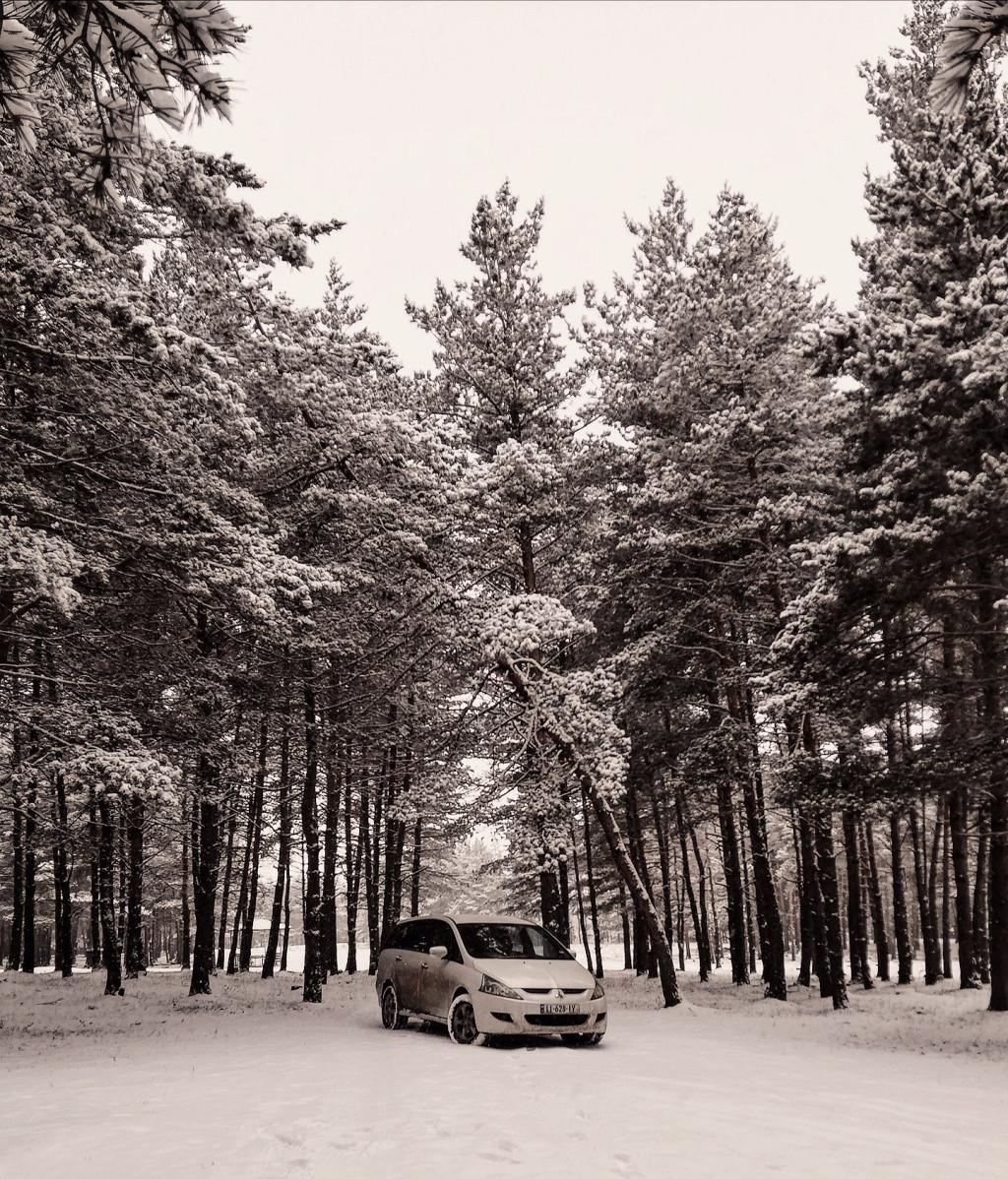 130460606_3610215572404643_74126