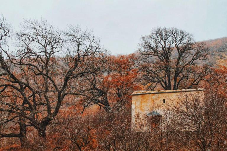 130822812_207168231080196_575160