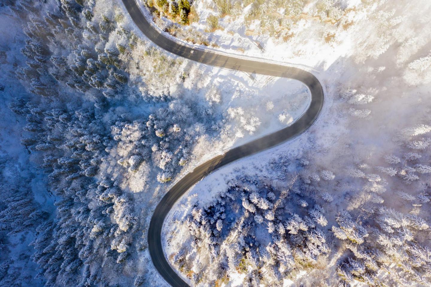 131906656_5030153583691732_29967