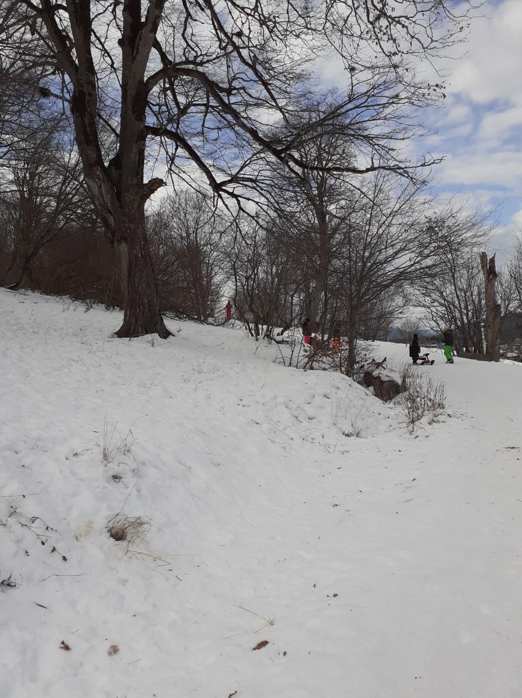 Four House Bakuriani