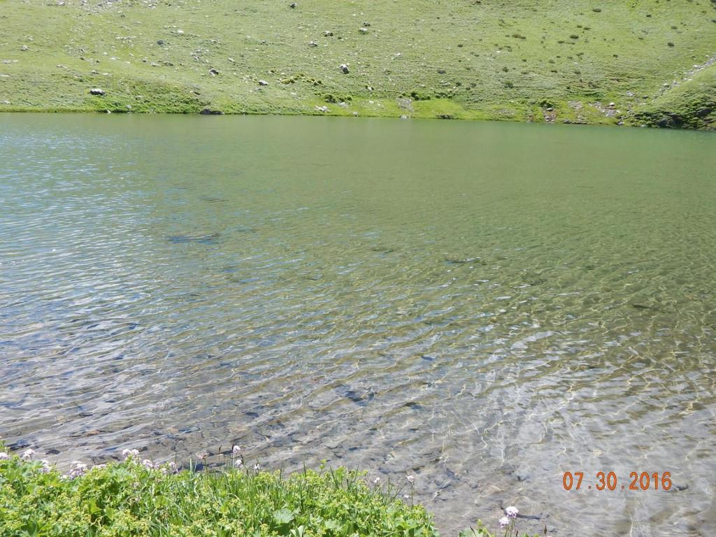 13708197_233928730339795_2596668