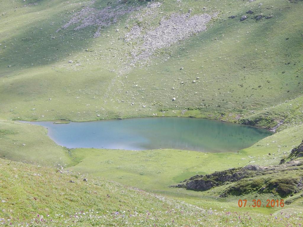 13908966_233926307006704_1321061