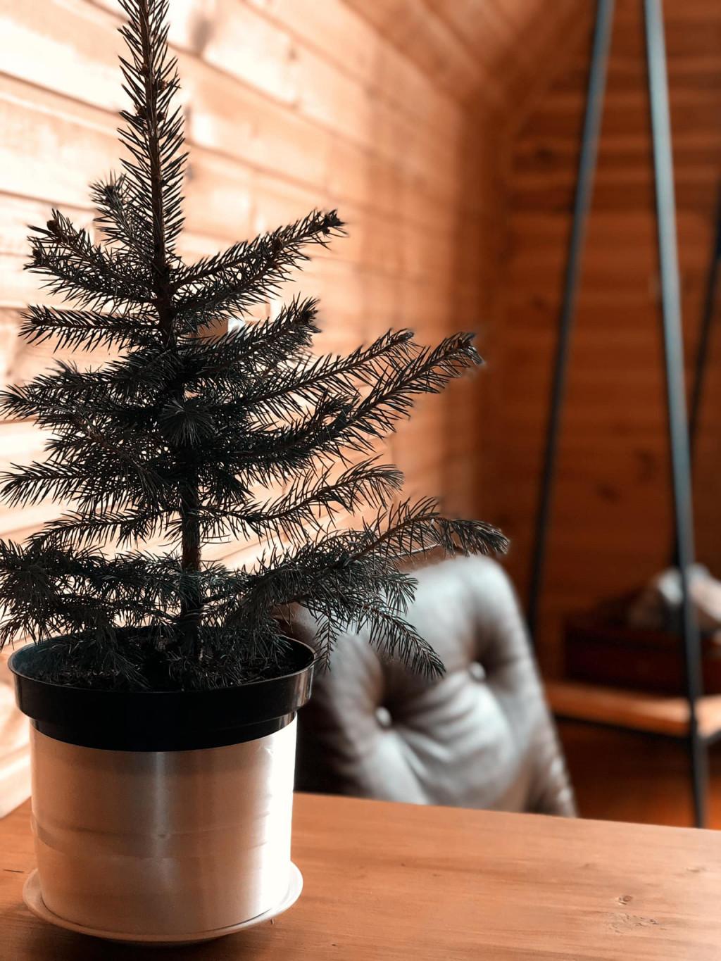 ყაზბეგი ყურო კოტეჯი Kuro Cottages