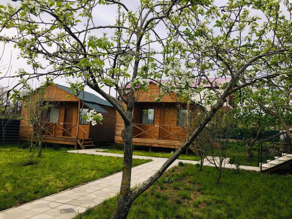 კოტეჯები პრომეთეს მღვიმის მიმდებარე ტერიტორიაზე