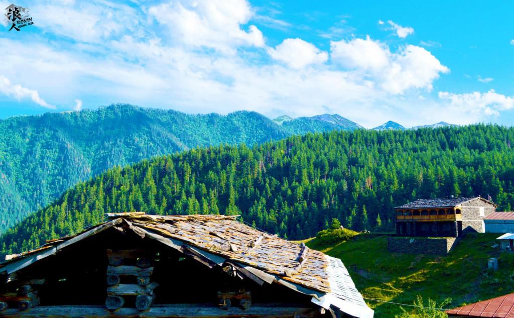 მოირონინე თუშეთი - 4 დღე რონინთან ერთად