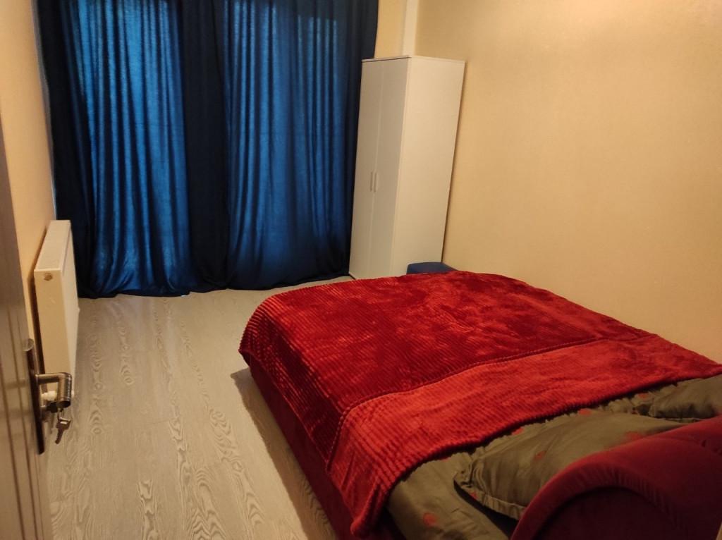 კოტეჯები წიწვოვან ტყეში ცემში