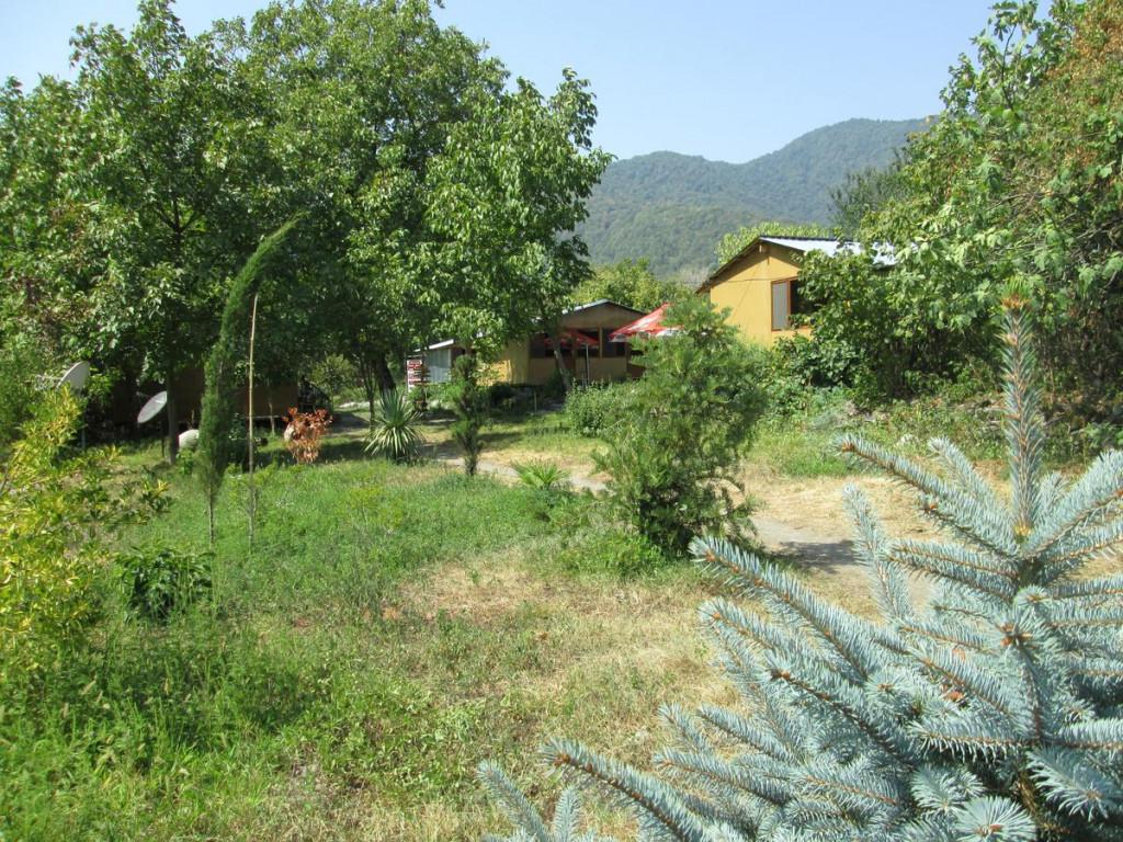 ბლუზ ვილიჯ