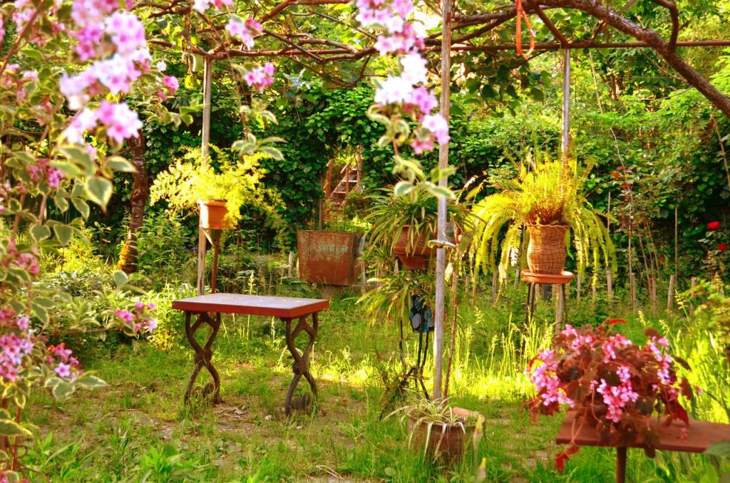 რობინზონ კრუზო