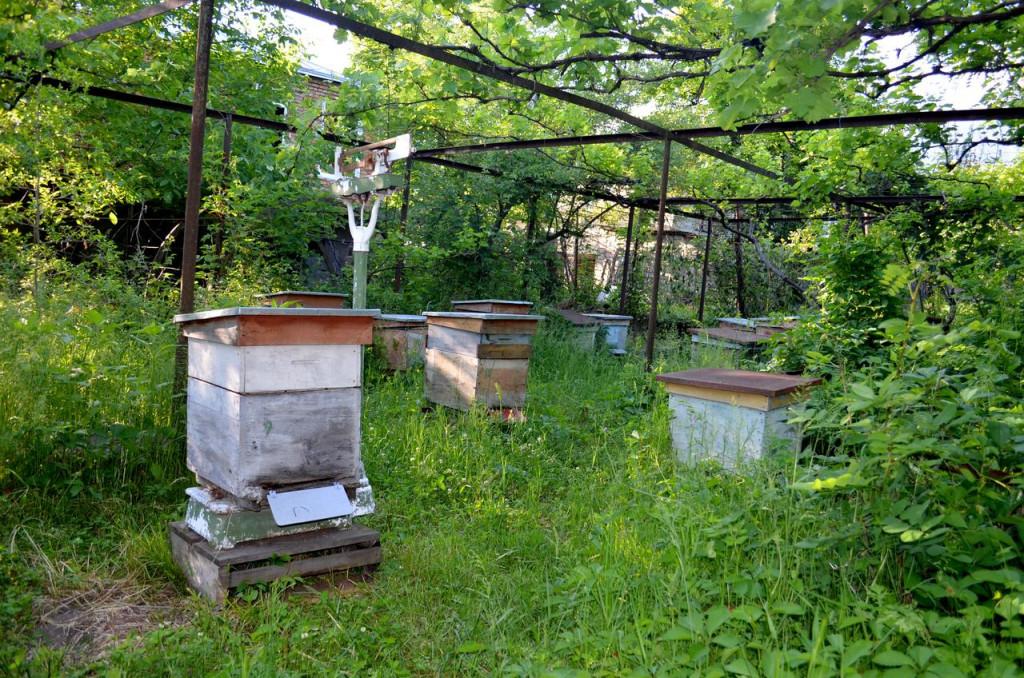 რობინზონ კრუზო