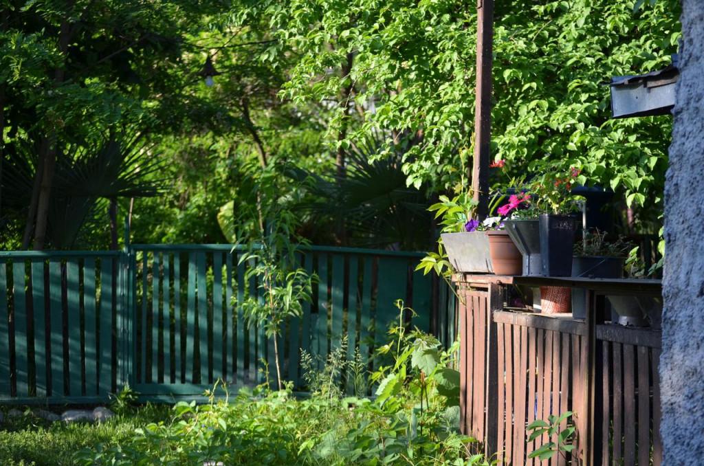 რობინზონ კრუზო