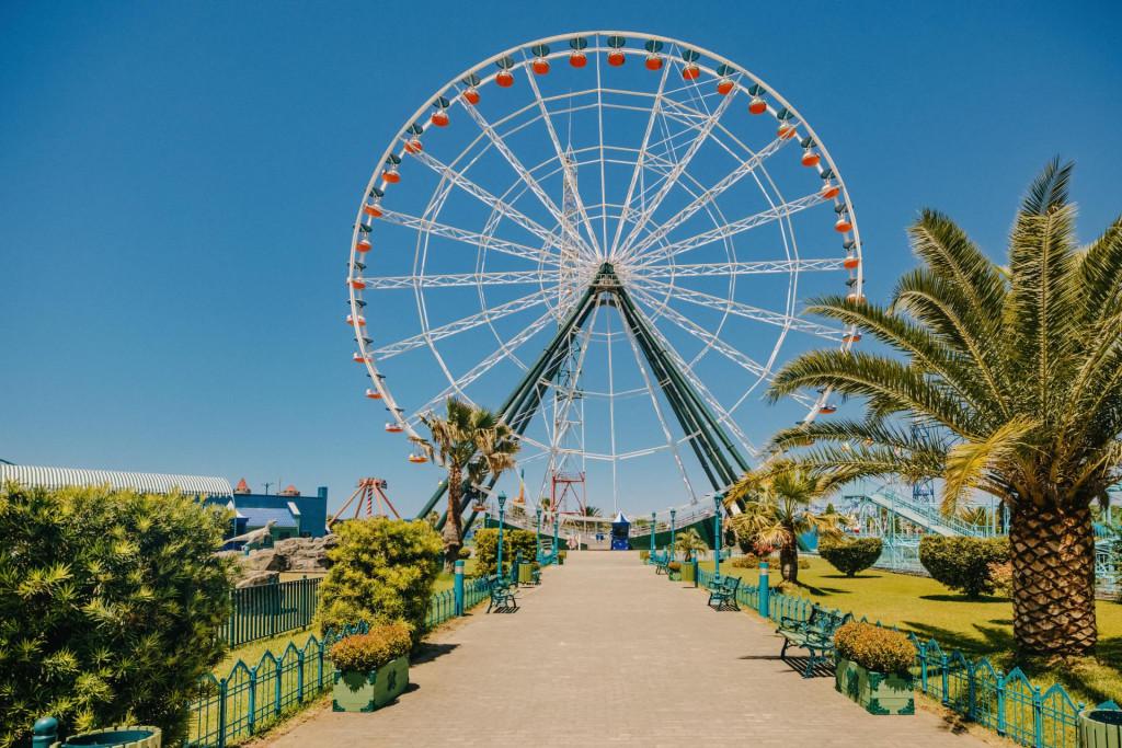 ციცინათელა