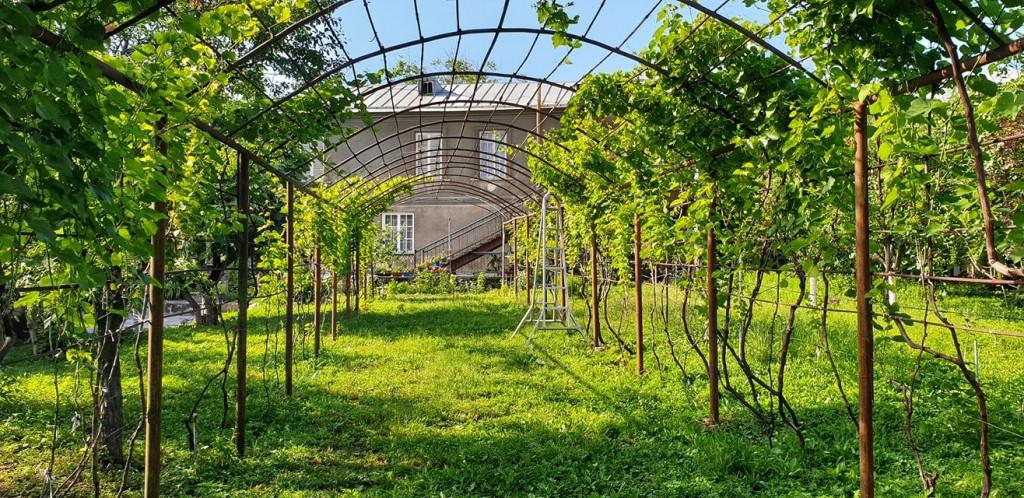 ღვინის დეგუსტაცია გურამი პაპას მარანში